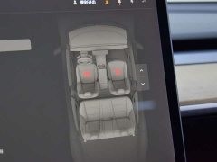 Tesla Model 3 Standard Range Edition 3D6 - фото 12