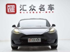 Tesla Model 3 Standard Range Edition 3D6 - фото 2