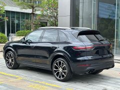 Porsche Cayenne 3.0T Platinum Edition - фото 16