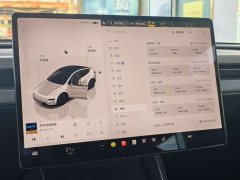 Tesla Model Y Edition - фото 5