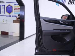 Volkswagen X 330TSI 2WDLuxury Edition - фото 18