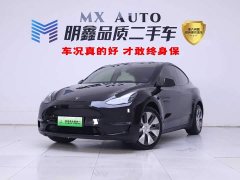Tesla Model Y Long Range Edition - фото 1