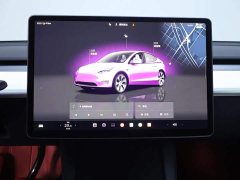 Tesla Model Y Long Range Edition - фото 10