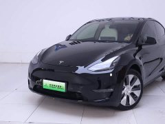 Tesla Model Y Long Range Edition - фото 3
