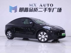 Tesla Model Y Long Range Edition - фото 5