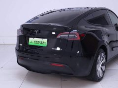 Tesla Model Y Long Range Edition - фото 8