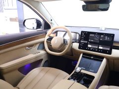 AITO M7 1.5T Plus Edition 6 - фото 14
