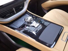 Denza D9 DM-i AWD Version - фото 12
