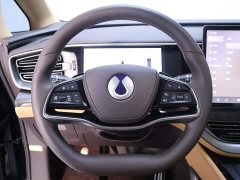 Denza D9 DM-i AWD Version - фото 16