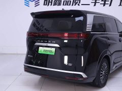 Denza D9 DM-i AWD Version - фото 8