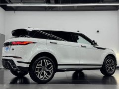 Land Rover L 249PS Luxury Edition - фото 15