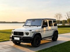 Mercedes-Benz GAMG AMG G 63 - фото 1