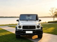 Mercedes-Benz GAMG AMG G 63 - фото 2
