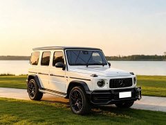 Mercedes-Benz GAMG AMG G 63 - фото 3