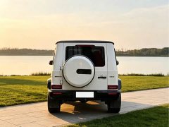 Mercedes-Benz GAMG AMG G 63 - фото 5