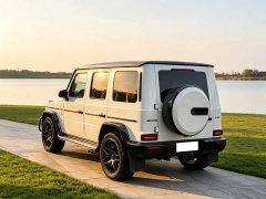 Mercedes-Benz GAMG AMG G 63 - фото 6