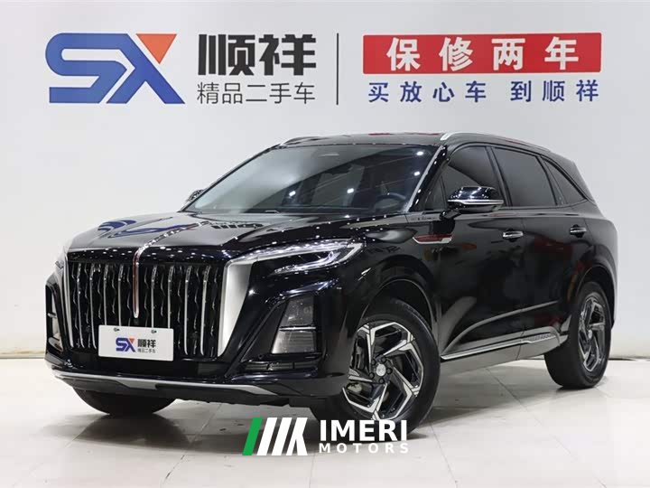 Hongqi HS3 2024 1.5T Shanwei Edition - автомобиль из Китая