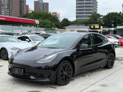 Tesla Model 3 Edition - фото 1