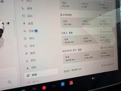 Tesla Model 3 Edition - фото 10