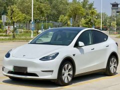 Tesla Model Y Standard Range Edition - фото 1