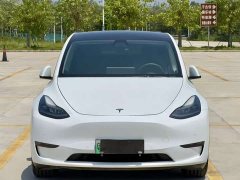Tesla Model Y Standard Range Edition - фото 3