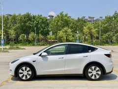 Tesla Model Y Standard Range Edition - фото 6