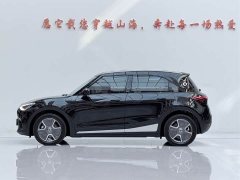 smart#1 Pro Edition - фото 4