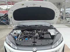 Changan 1.5T 500Bar Version - фото 20