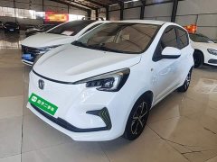 BYD E-Star Edition - фото 1