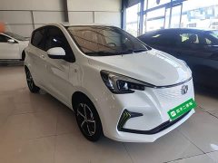 BYD E-Star Edition - фото 4