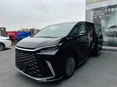 Lexus LM 500h Edition - фото 18