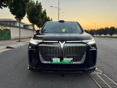 Voyah PHEV AWDPremium Edition - фото 2