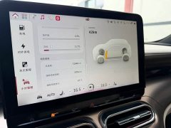 smart#1 Premium Edition - фото 17