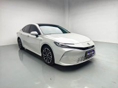 2.5HG Premium Edition - фото 3