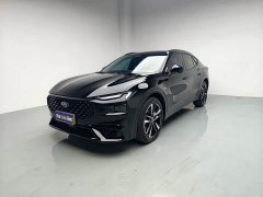2.5Hg EVOS EcoBoost 245 ST-Line - фото 1