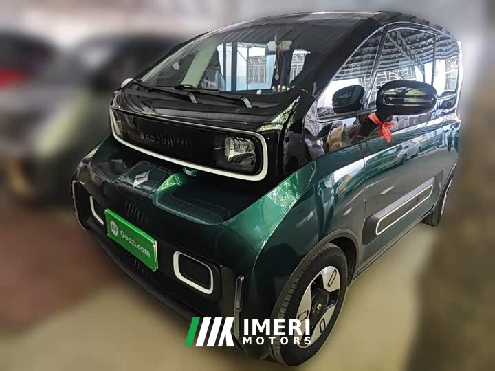 BYD KiWi EV Edition