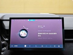 Lynk & Co 03 1.5TD DCT Pro - фото 16