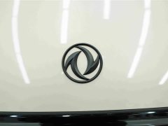 Buick 06 471 Ultra - фото 11
