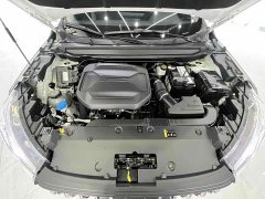 Haval 1.5T Version - фото 20