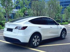 Tesla Model Y 568Pro Edition - фото 9