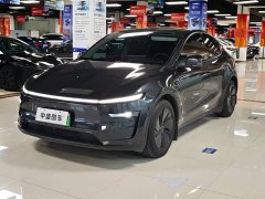 Tesla Model Y Edition - фото 1