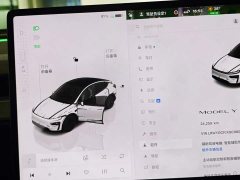 Tesla Model Y Edition - фото 9