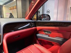 Tesla 4.0T V8 - фото 16