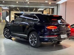 Tesla 4.0T V8 - фото 4
