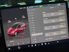 Tesla Model Y Edition - фото 10