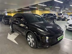 Tesla Model Y Edition - фото 2