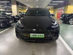 Tesla Model Y Edition - фото 3