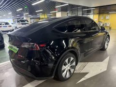 Tesla Model Y Edition - фото 4