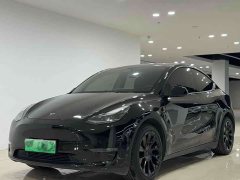Tesla Model Y Standard Range Edition - фото 1