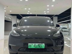 Tesla Model Y Standard Range Edition - фото 2
